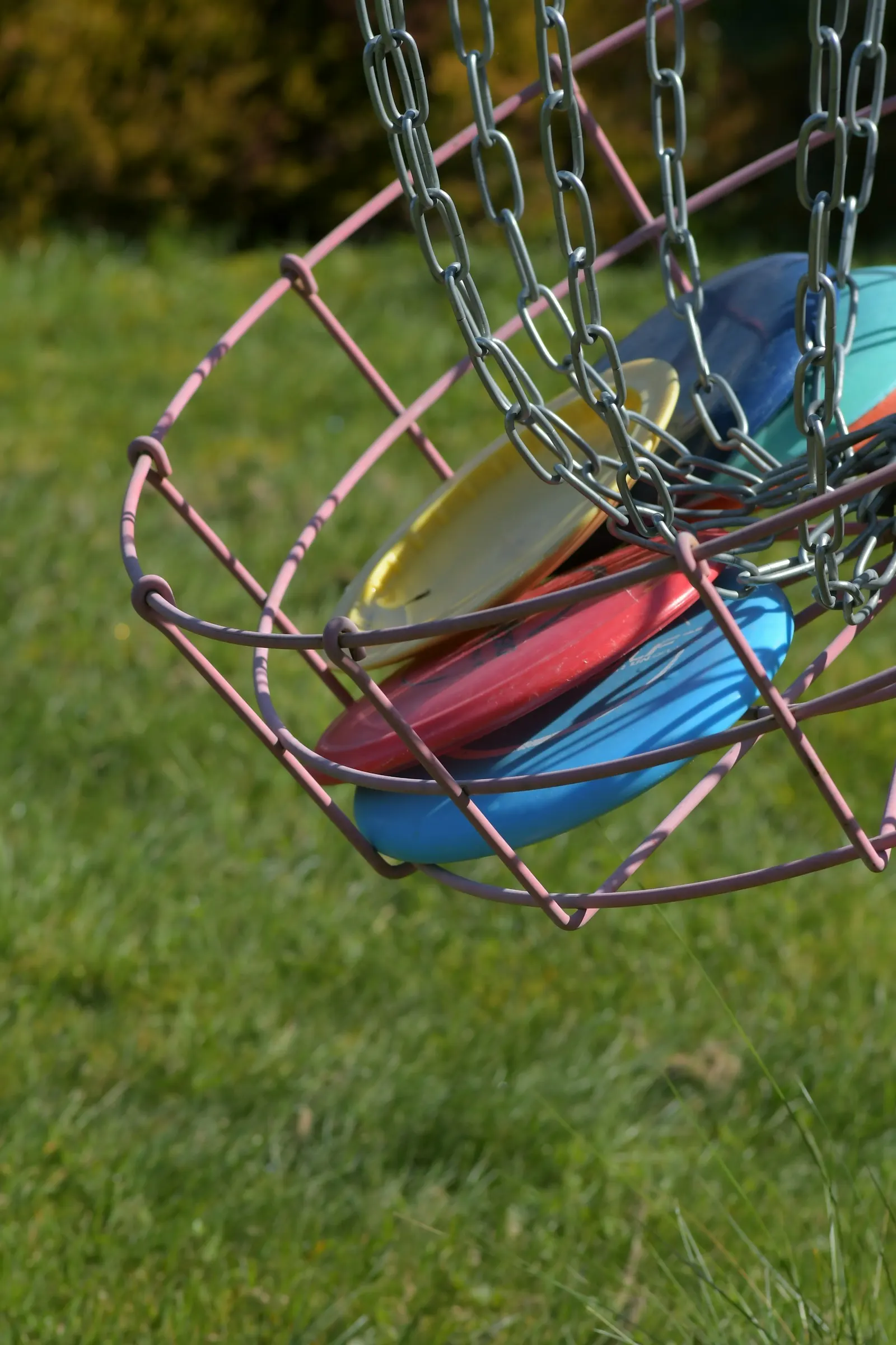 Colorful disc golf discs piled inside the basket of a chain target on a grassy course