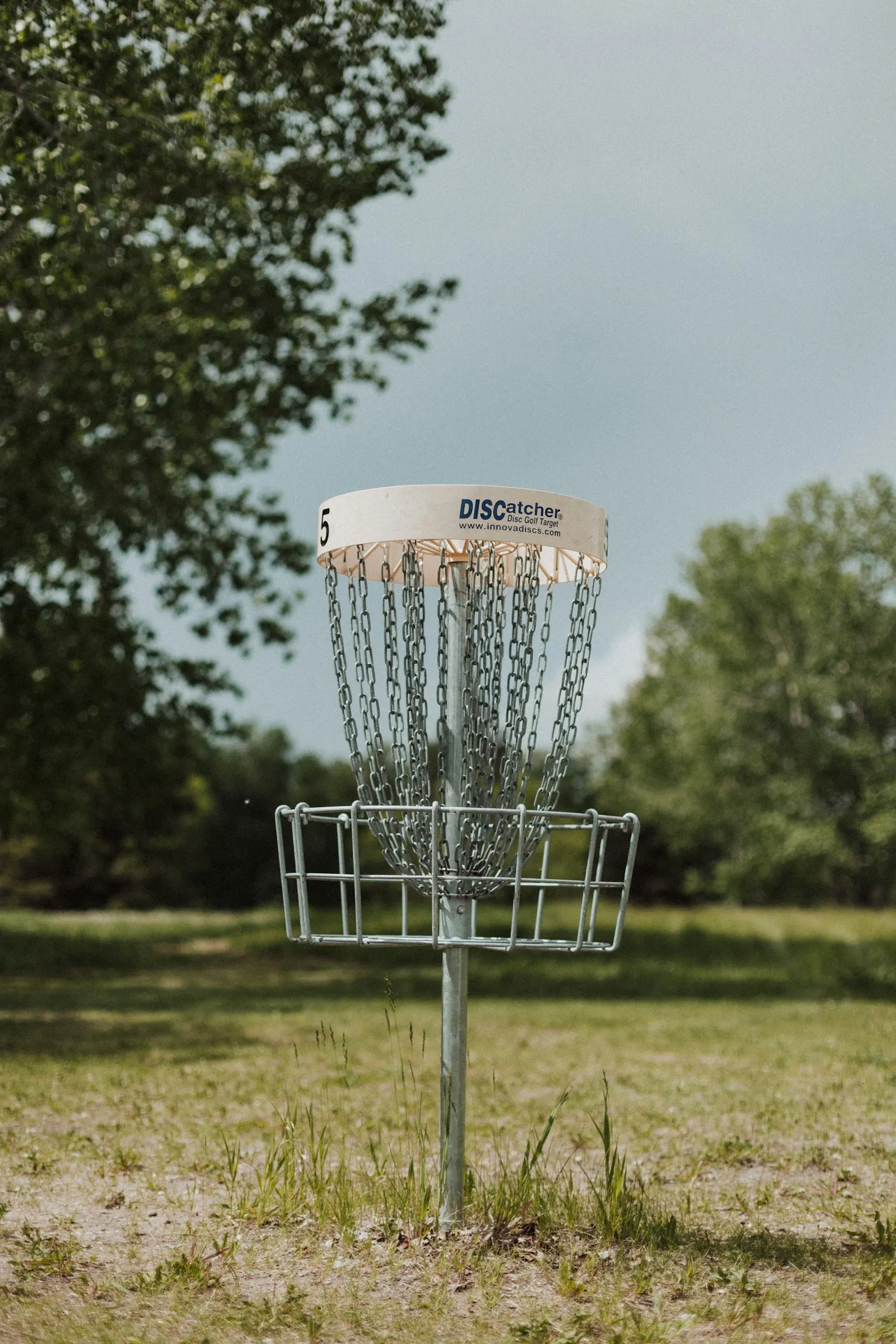 Disc golf basket standing in the distance on a wooded course fairway under a bright sky